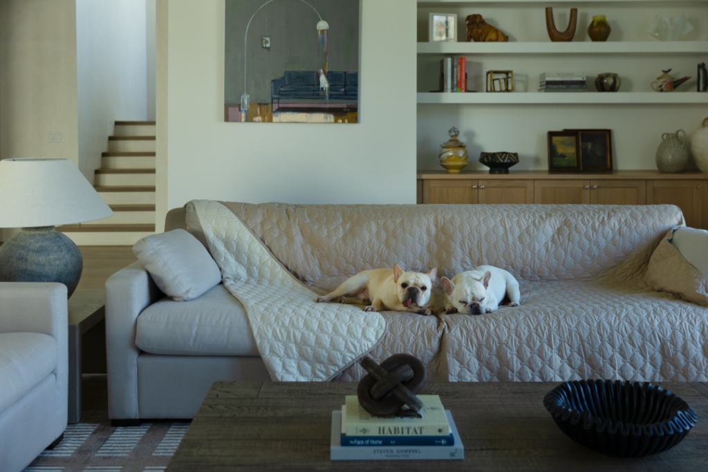 2-dogs-on-sofa-with-cover-to keep-home-clean